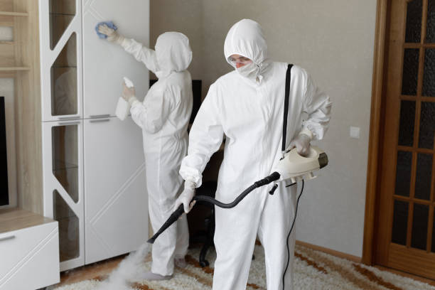 Trusted Sewage Cleanup service in Milledgeville, IL - Four Month Blood Cleanse